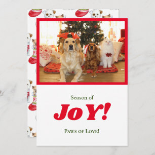 Season Of Joy Xmas Dogs & Cat Pet Photo Red Frame Holiday Card