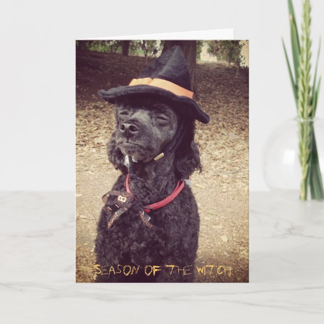 Season of the Witch Card (Front)