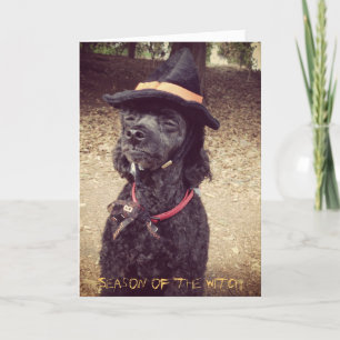 Season of the Witch Card