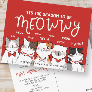 Season to be Meowwy Funny Holiday Greeting Postcard