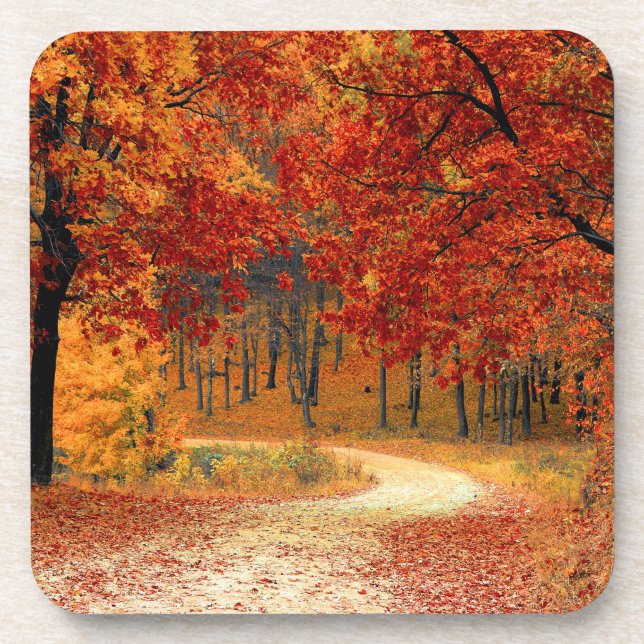 Seasonal colours of autumn  coaster (Front)