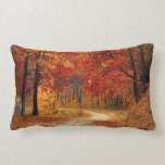 Seasonal colours of Autumn Lumbar Cushion<br><div class="desc">Beautiful fall colours in nature,  a walk through the woods</div>