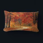Seasonal colours of Autumn lumbar pillow<br><div class="desc">Beautiful fall colours in nature,  a walk through the woods,  re-design.</div>