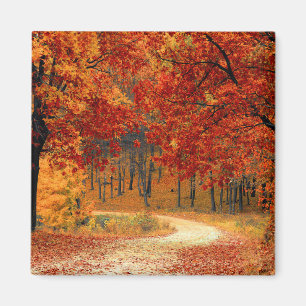 Seasonal colours of autumn  magnet