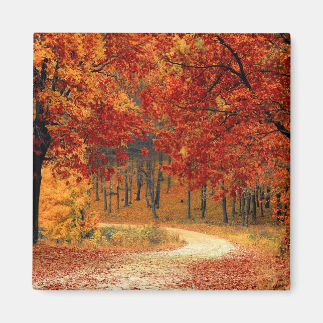 Seasonal colours of autumn  magnet (Front)
