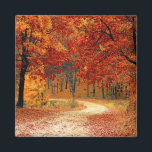Seasonal colours of Autumn Magnet<br><div class="desc">Beautiful fall colours in nature,  a walk through the woods</div>