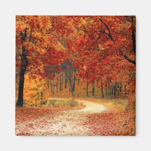 Seasonal colours of Autumn Magnet