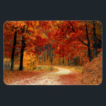 Seasonal colours of Autumn Magnet<br><div class="desc">Beautiful fall colours in nature,  a walk through the woods</div>