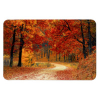 Seasonal colours of Autumn