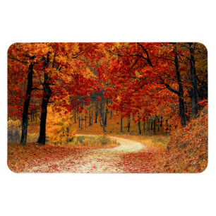 Seasonal colours of Autumn Magnet