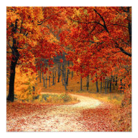Seasonal colours of Autumn