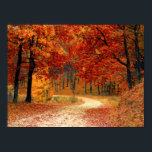 Seasonal colours of Autumn Poster<br><div class="desc">Beautiful fall colours in nature,  a walk through the woods</div>