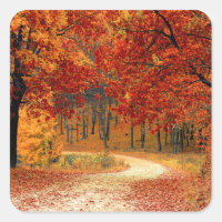 Seasonal colours of Autumn