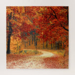 Seasonal colours of Autumn Throw Pillow Jigsaw Puzzle<br><div class="desc">Beautiful fall colours in nature,  a walk through the woods</div>
