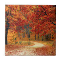 Seasonal colours of Autumn