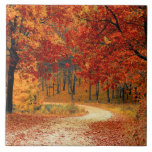 Seasonal colours of Autumn  Tile<br><div class="desc">Seasonal colours of autumn</div>
