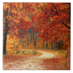 Seasonal colours of Autumn Tile