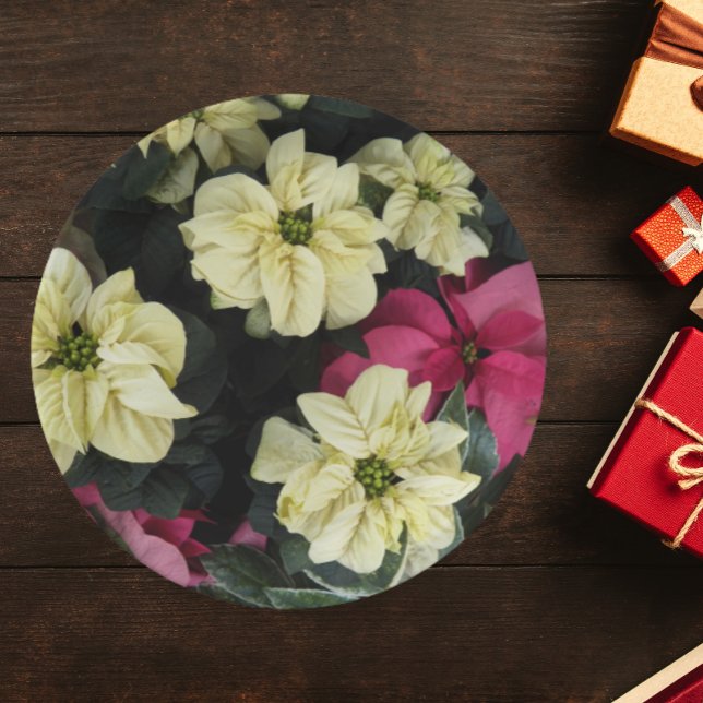 Seasonal Holidays Poinsettias Floral Paper Plate (In Situ Holiday)