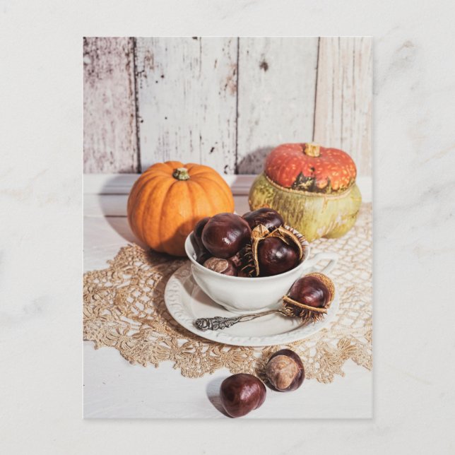 Seasonal rustic fall chestnut & pumpkin still life postcard (Front)