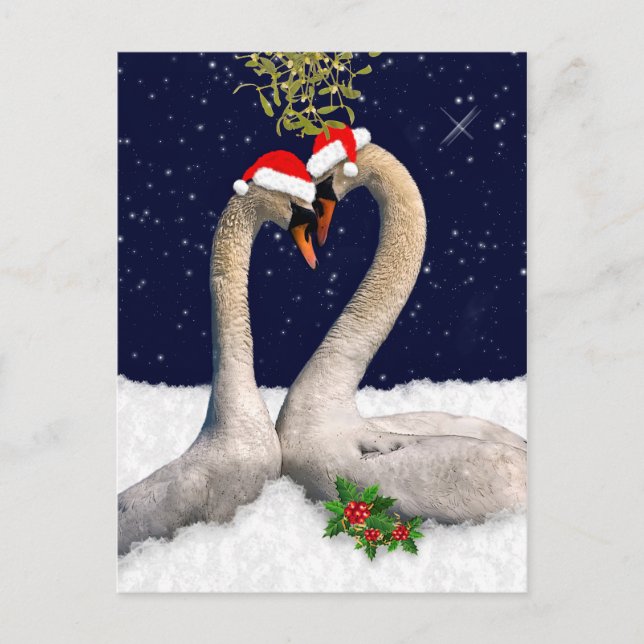 Seasonal Swans Christmas Postcard (Front)