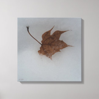Seasonal Transitions Stretched Canvas Print