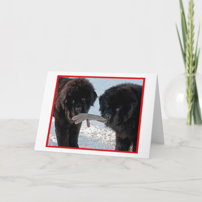 Season's Best. Holiday Card (Front)