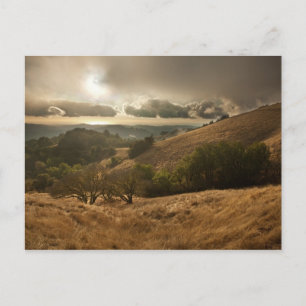 Season's First Rain Postcard