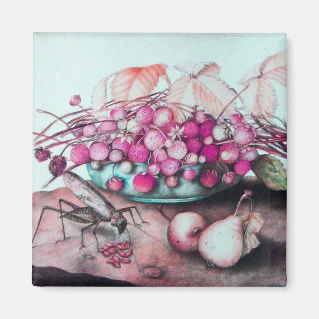 SEASON'S FRUITS 3 MAGNET (Front)