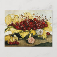 SEASON'S FRUITS / CHERRIES AND CARNATIONS