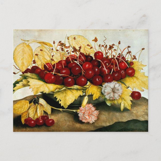 SEASON'S FRUITS / CHERRIES AND CARNATIONS HOLIDAY POSTCARD (Front)