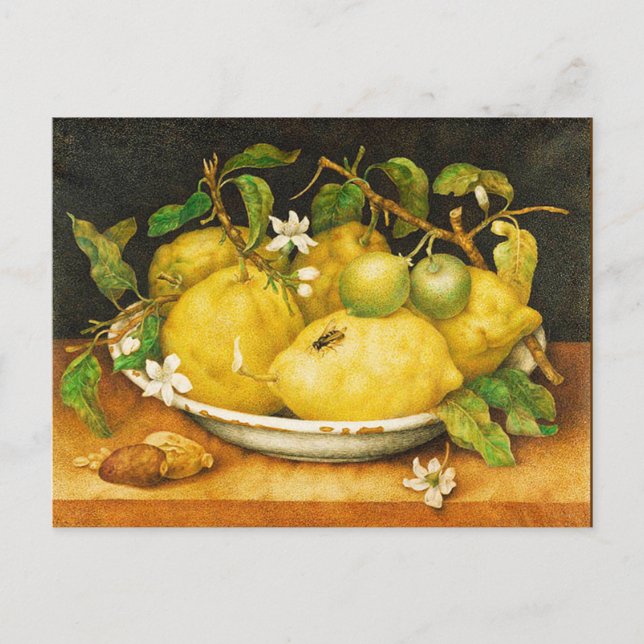 SEASON'S FRUITS LEMONS AND WHITE FLOWERS POSTCARD (Front)