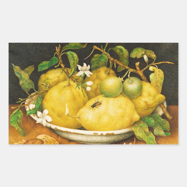 SEASON'S FRUITS LEMONS AND WHITE FLOWERS RECTANGULAR STICKER (Front)