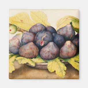 SEASON'S FRUITS / PLATE WITH FIGS AND GREEN LEAVES MAGNET
