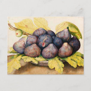 SEASON'S FRUITS / PLATE WITH FIGS AND GREEN LEAVES POSTCARD