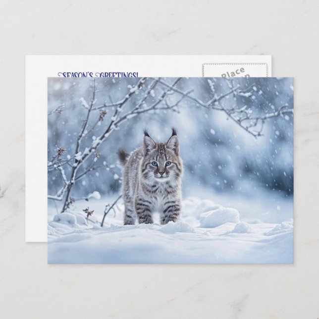 Seasons Greeting Holiday Bobcat Snow (Front/Back)