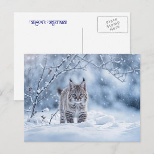 Seasons Greeting Holiday Bobcat Snow Postcard