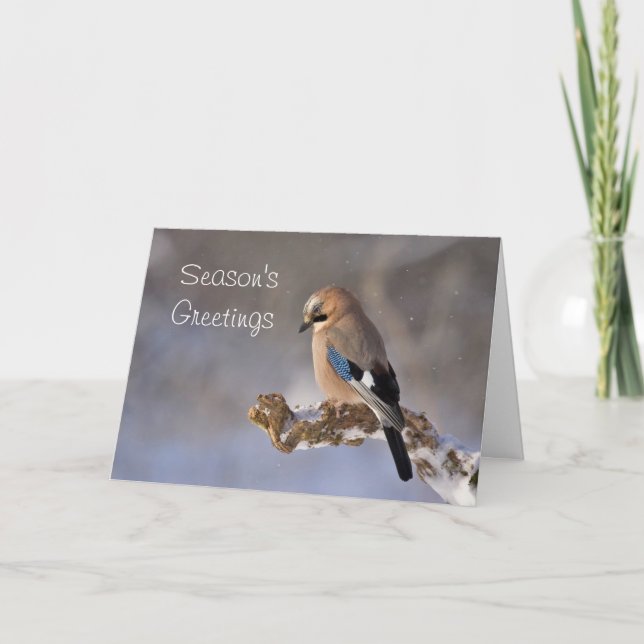 Season's Greetings Bird Holiday Christmas Card (Front)