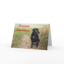 Seasons Greetings - Black Lab