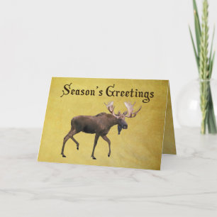 Season's Greetings - Bull Moose Holiday Card