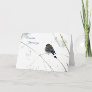 Seasons Greetings Card - Junco in Snow