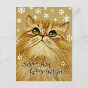 Seasons Greetings Cat & Snow - Postcard