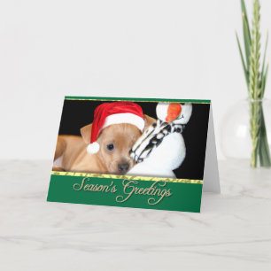 Season's greetings Chihuahua card