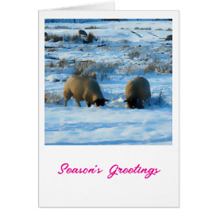 Season's Greetings Christmas card