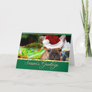 Season's Greetings Christmas French Bulldog Holiday Card