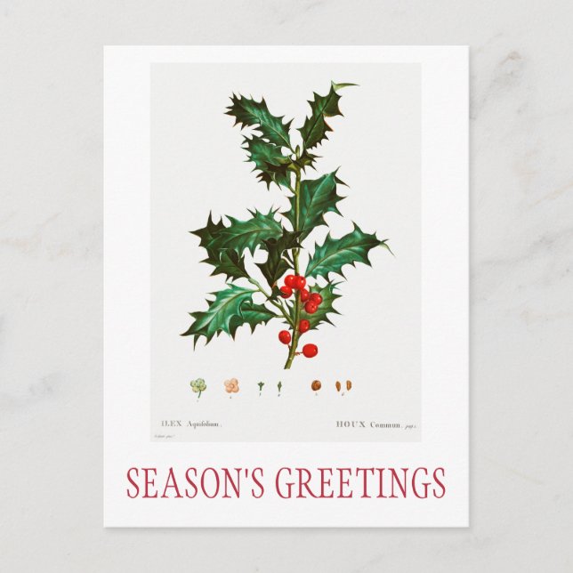 SEASON'S GREETINGS CHRISTMAS POSTCARD (Front)