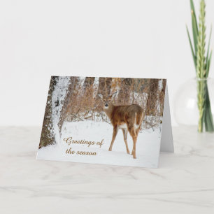 Seasons Greetings Christmas Whitetail Deer Card