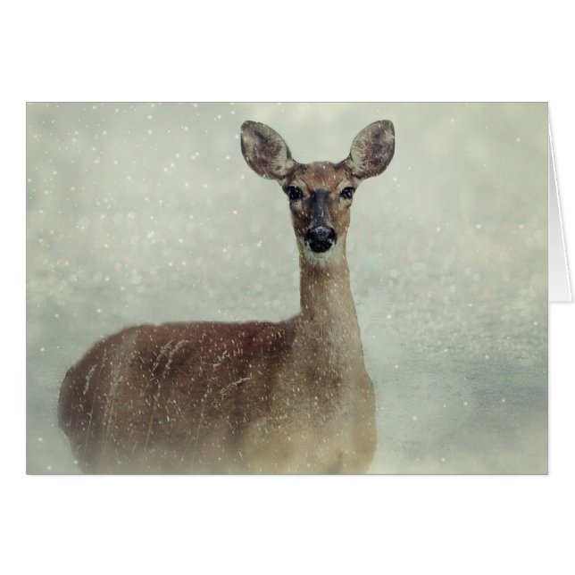 Seasons Greetings Deer Doe in Snow Season Card (Front Horizontal)