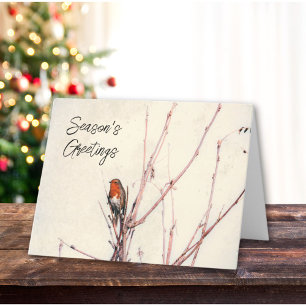 Seasons Greetings English Robin Personalised Holiday Card