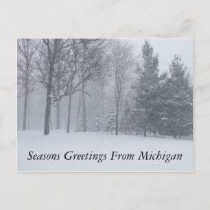 Seasons Greetings from Michigan Winter Snow Postca Holiday Postcard