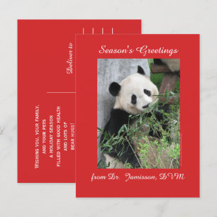 Seasons Greetings from Vet, Veterinarian, Postcard